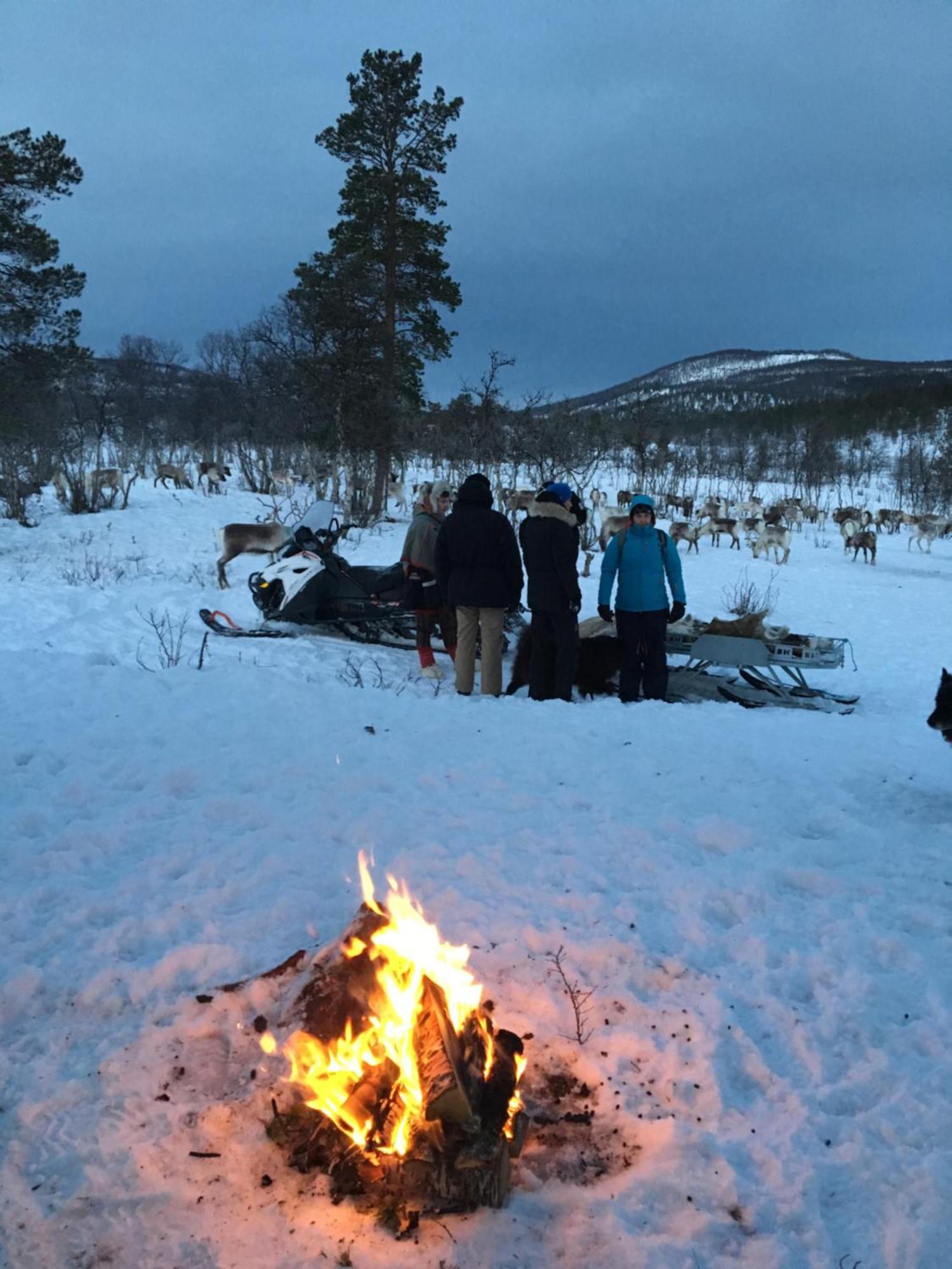 Bardufoss Hotel Zewnętrze zdjęcie